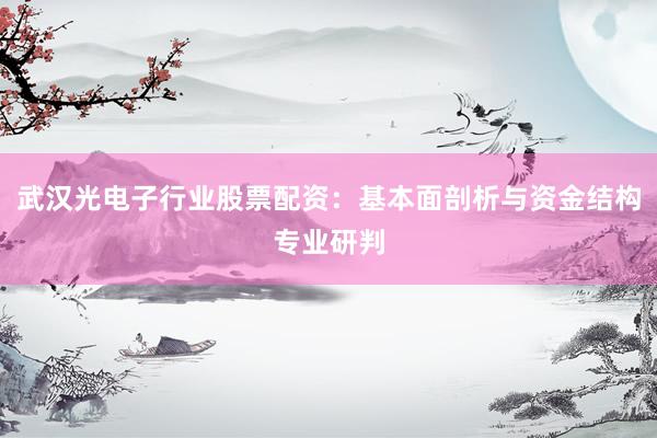 武汉光电子行业股票配资：基本面剖析与资金结构专业研判