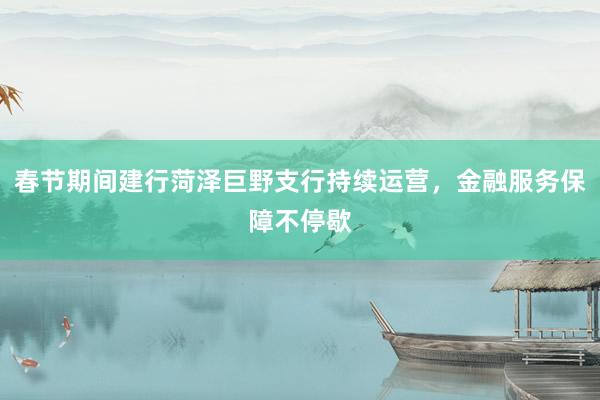 春节期间建行菏泽巨野支行持续运营，金融服务保障不停歇