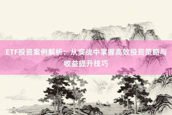 ETF投资案例解析:从实战中掌握高效投资策略与收益提升技巧