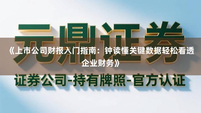 《上市公司财报入门指南：钟读懂关键数据轻松看透企业财务》