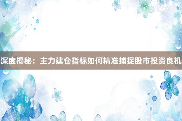 深度揭秘：主力建仓指标如何精准捕捉股市投资良机