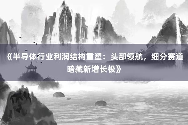 《半导体行业利润结构重塑：头部领航，细分赛道暗藏新增长极》