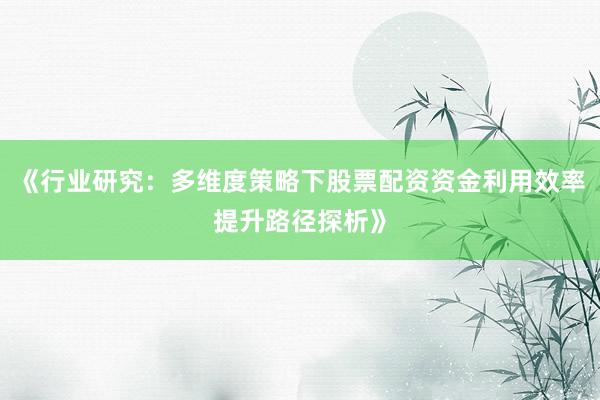 《行业研究：多维度策略下股票配资资金利用效率提升路径探析》