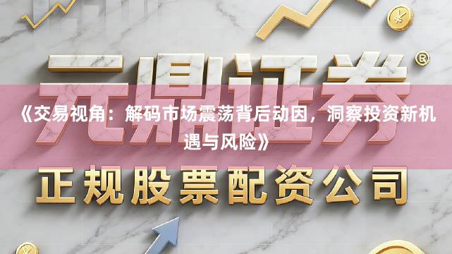 《交易视角：解码市场震荡背后动因，洞察投资新机遇与风险》