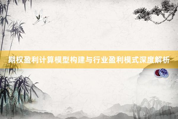期权盈利计算模型构建与行业盈利模式深度解析