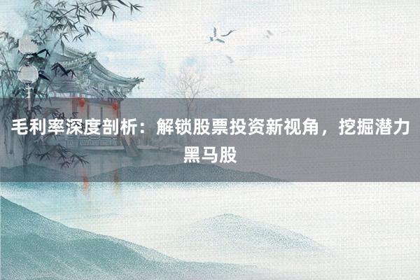 毛利率深度剖析：解锁股票投资新视角，挖掘潜力黑马股