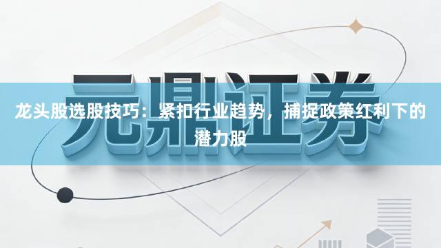 龙头股选股技巧：紧扣行业趋势，捕捉政策红利下的潜力股