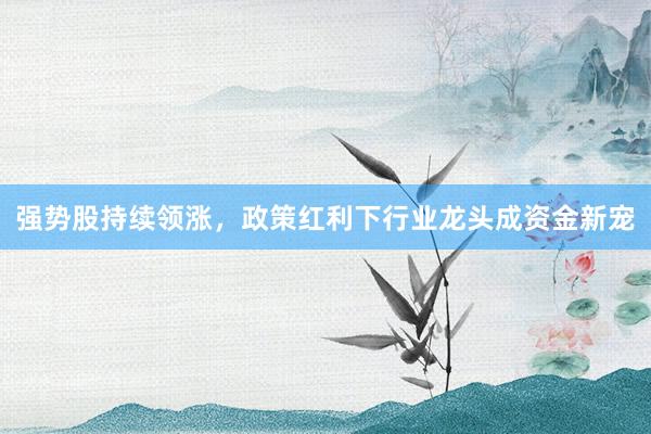 强势股持续领涨，政策红利下行业龙头成资金新宠